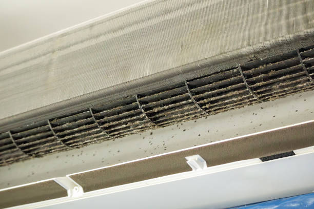 Air Duct Mold Removal in Muscatine, IA